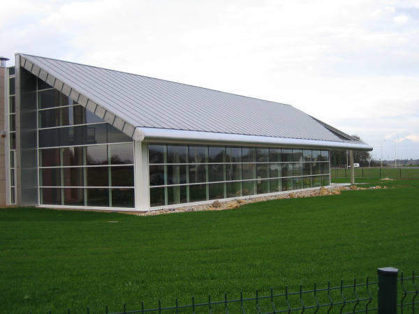 Zinc